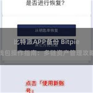 比特派APP备份 Bitpie钱包操作指南：多链资产管理攻略