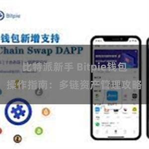 比特派新手 Bitpie钱包操作指南：多链资产管理攻略