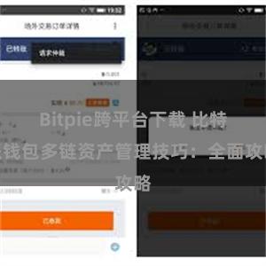 Bitpie跨平台下载 比特派钱包多链资产管理技巧：全面攻略