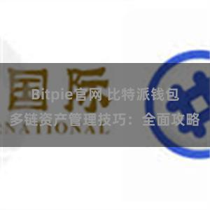 Bitpie官网 比特派钱包多链资产管理技巧：全面攻略