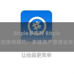 Bitpie多币种 Bitpie钱包使用技巧：多链资产管理全攻略