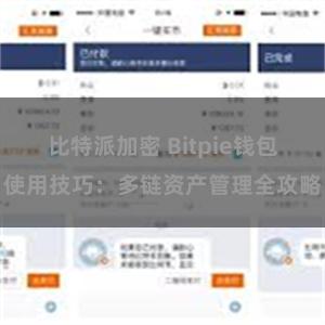 比特派加密 Bitpie钱包使用技巧：多链资产管理全攻略