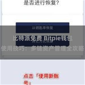 比特派免费 Bitpie钱包使用技巧：多链资产管理全攻略