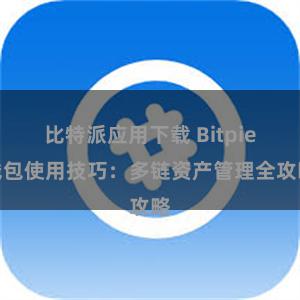 比特派应用下载 Bitpie钱包使用技巧：多链资产管理全攻略