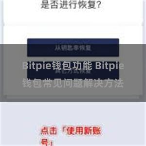 Bitpie钱包功能 Bitpie钱包常见问题解决方法