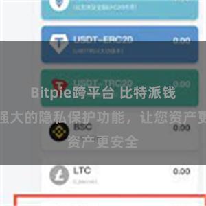 Bitpie跨平台 比特派钱包：强大的隐私保护功能，让您资产更安全