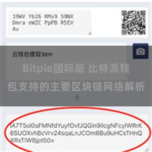 Bitpie国际版 比特派钱包支持的主要区块链网络解析