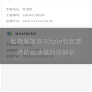 比特派加密 Bitpie钱包支持的区块链网络解析