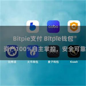 Bitpie支付 Bitpie钱包：资产100%自主掌控，安全可靠。