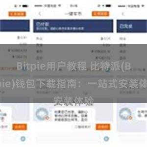 Bitpie用户教程 比特派(Bitpie)钱包下载指南：一站式安装体验