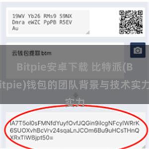 Bitpie安卓下载 比特派(Bitpie)钱包的团队背景与技术实力