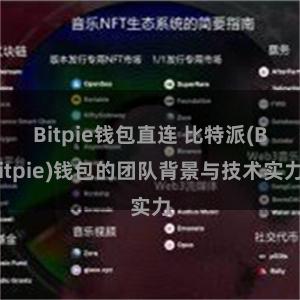 Bitpie钱包直连 比特派(Bitpie)钱包的团队背景与技术实力