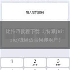 比特派教程下载 比特派(Bitpie)钱包适合何种用户？