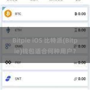 Bitpie iOS 比特派(Bitpie)钱包适合何种用户？