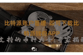 比特派账户管理  即可下载比特派钱包APP
