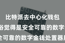 比特派去中心化钱包  被庸俗觉得是安全可靠的数字金钱处置器用